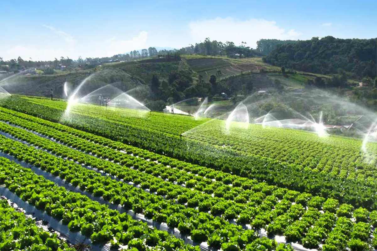 Sprinkler Pipe and Fitting <br><br>